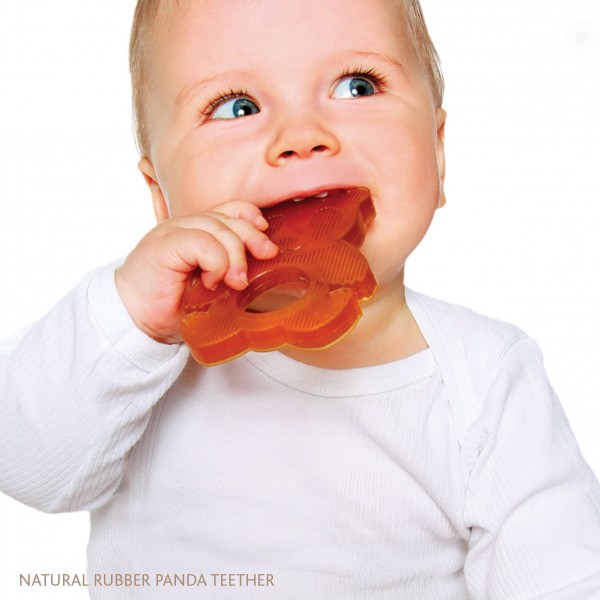 Teether and Pacifier